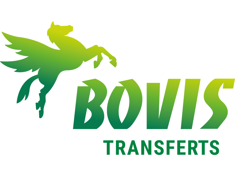 Logo agence Bovis Transferts