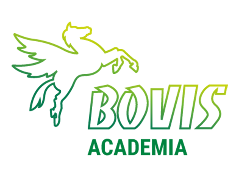 Logo de Bovis Academia