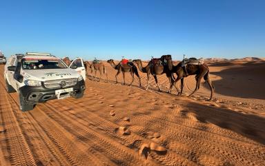 Un équipage Bovis au Rallye Roses des Sables 2025