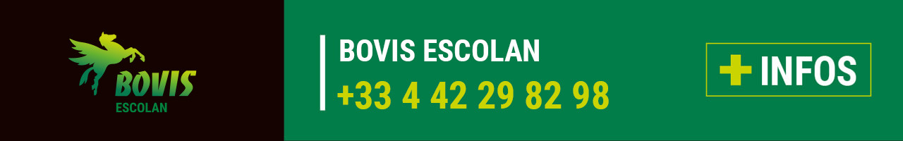 Contact Bovis Escolan (13)