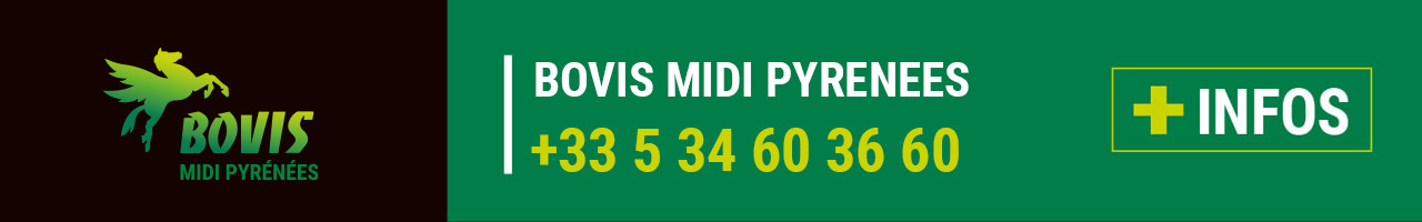 Contact Bovis Midi Pyrénées (31)
