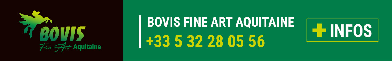 Contact Bovis Fine Art Aquitaine (33)