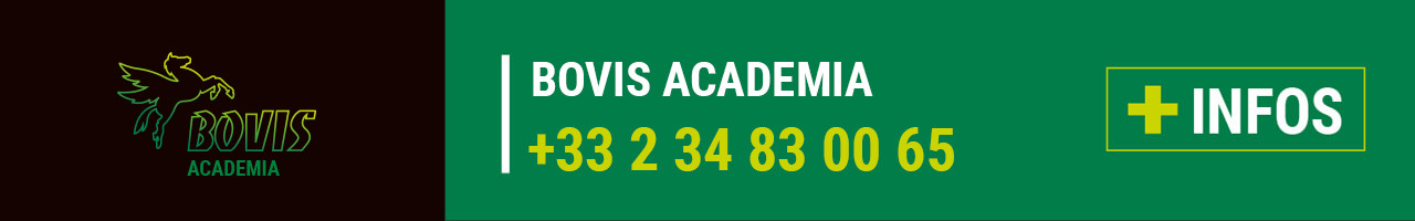 Contact Bovis Academia