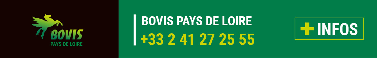 Contact Bovis Pays de Loire (49)