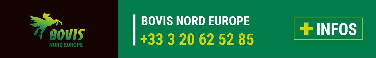 Contact Bovis Nord Europe (59)