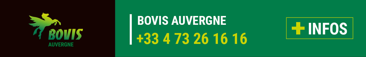 Contact Bovis Auvergne (63)