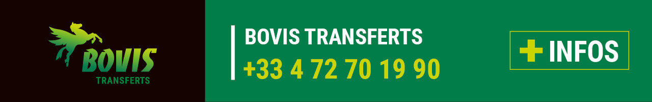 Contact Bovis Transferts (69)
