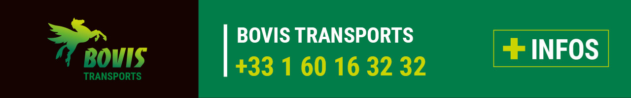 Contact Bovis Transports (91)