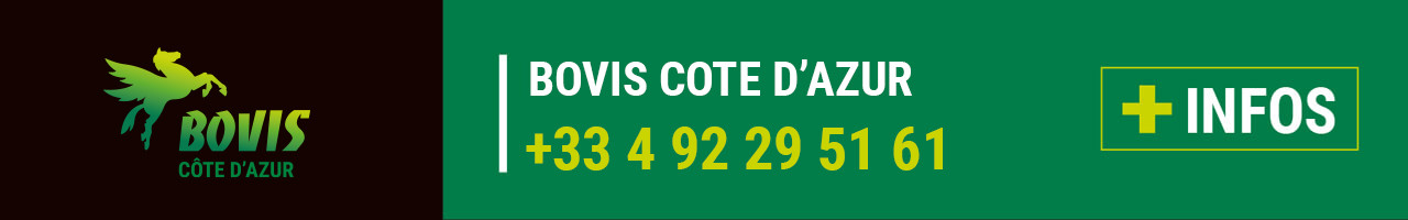 Contact Bovis Côte d'Azur
