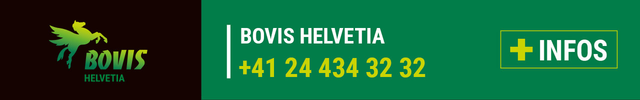 Contact Bovis Helvetia Suisse