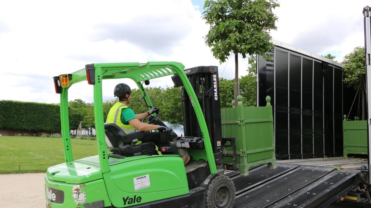 Handling of orange trees in Paris