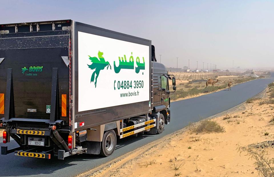 Transport international