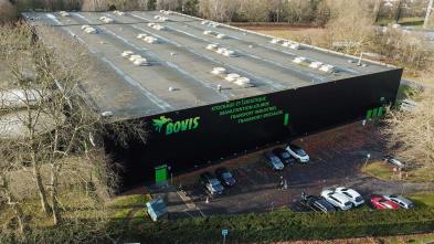 Bovis Pegasys Groupe