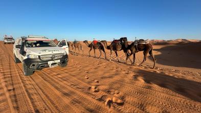 Un équipage Bovis au Rallye Roses des Sables 2025